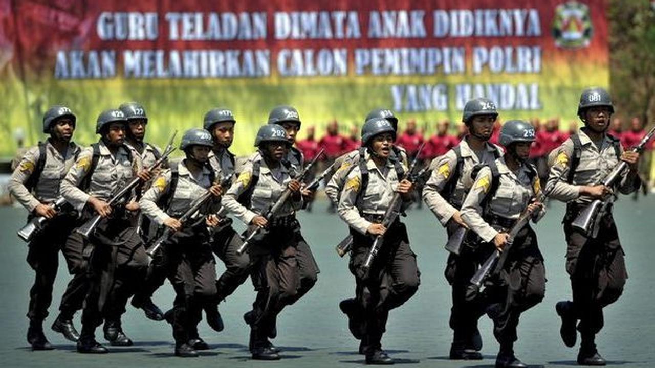 Sebagai informasi, Tamtama ialah salah satu tingkat pangkat dalam kepolisian. <br>