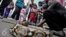 Seorang pria memperlihatkan seekor ular kepada sejumlah anak kecil saat momen Car Free Day (CFD) di kawasan Bundaran HI, Jakarta, Minggu (29/1). Tak sedikit pengunjung CFD yang ingin berfoto dengan hewan reptil tersebut. (Liputan6.com/Faizal Fanani)