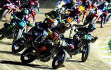 Mengenal VR46 Racing Team, Bawa Nama Pertamina Enduro di Pentas Dunia MotoGP 2024-2026!