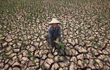 Sepuluh Kabupaten di Jateng Diprediksi Alami Kekeringan Meteorologis pada Musim Kemarau, Ini Faktanya