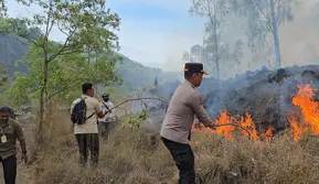 Dampak Kebakaran Hutan Konservasi Kintamani