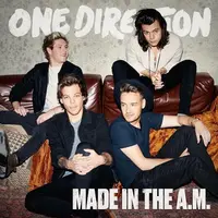 Albu baru One Direction bertajuk Made in the A.M. (foto: Twitter.com)