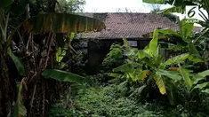 Keberadaan Rumah Cimangggis menjadi polemik setelah muncul rencana pembangunan Universitas Islam Internasional.