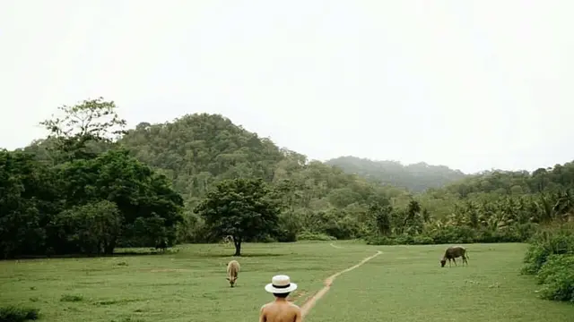 Kawasan Taman Nasional Meru Betiri, dengan Gunung Betiri sebagai bagiannya @bwitravel