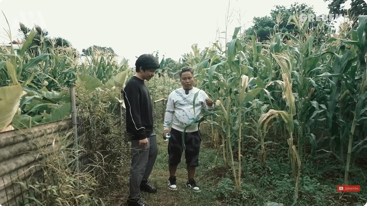 6 Potret Kebun di Rumah Narji, Eks Komedian yang Kini Jadi Juragan Pertanian