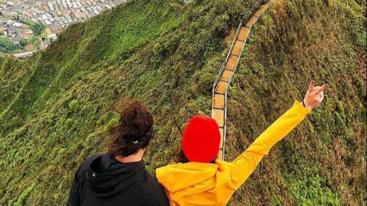 "Mereka mau menjadi pusat perhatian yang akan membawah kita ke tempat yang keren,"