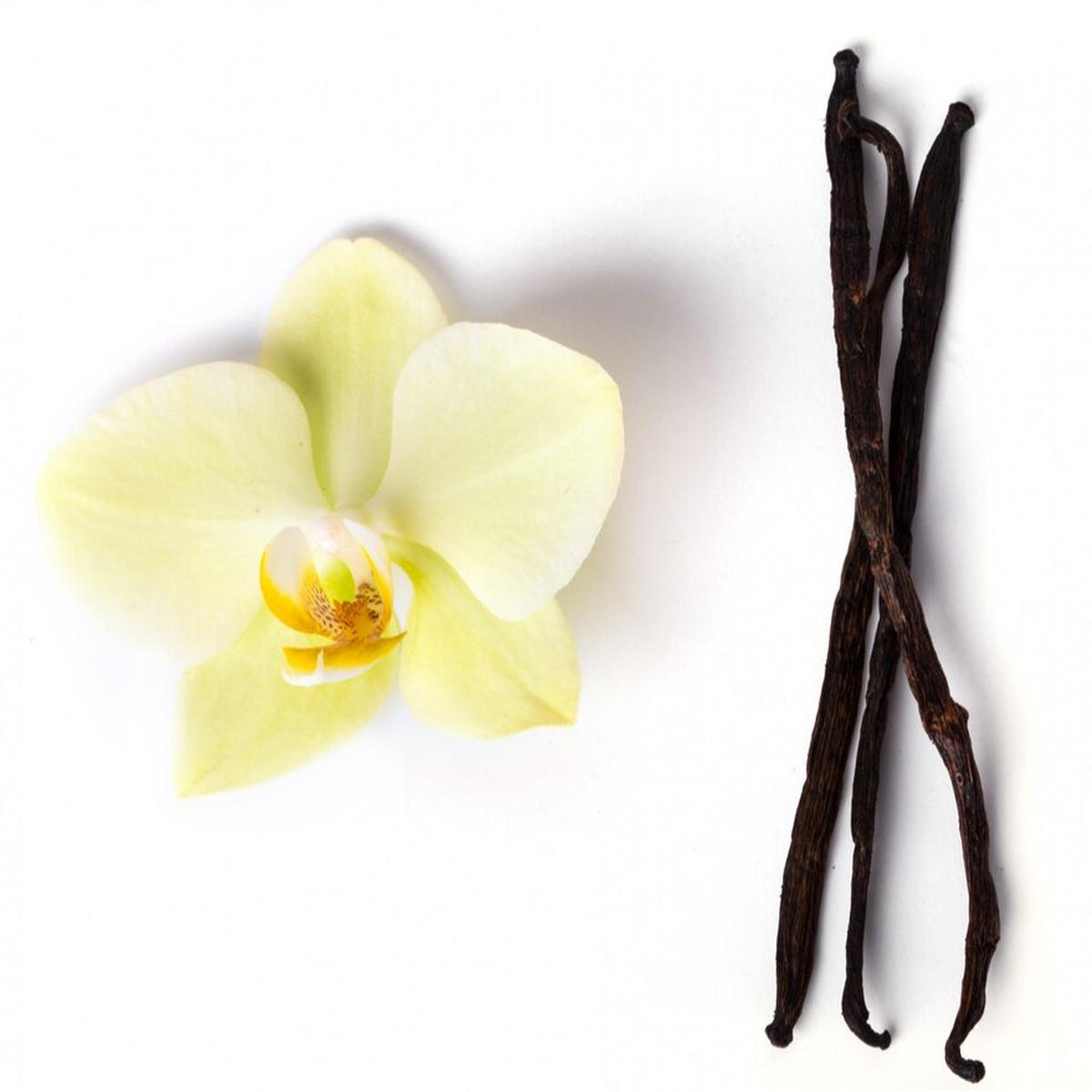 Vanilla
