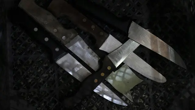 Cara Mengasah Pisau untuk Memotong Daging Kurban, Begini Langkah-langkahnya