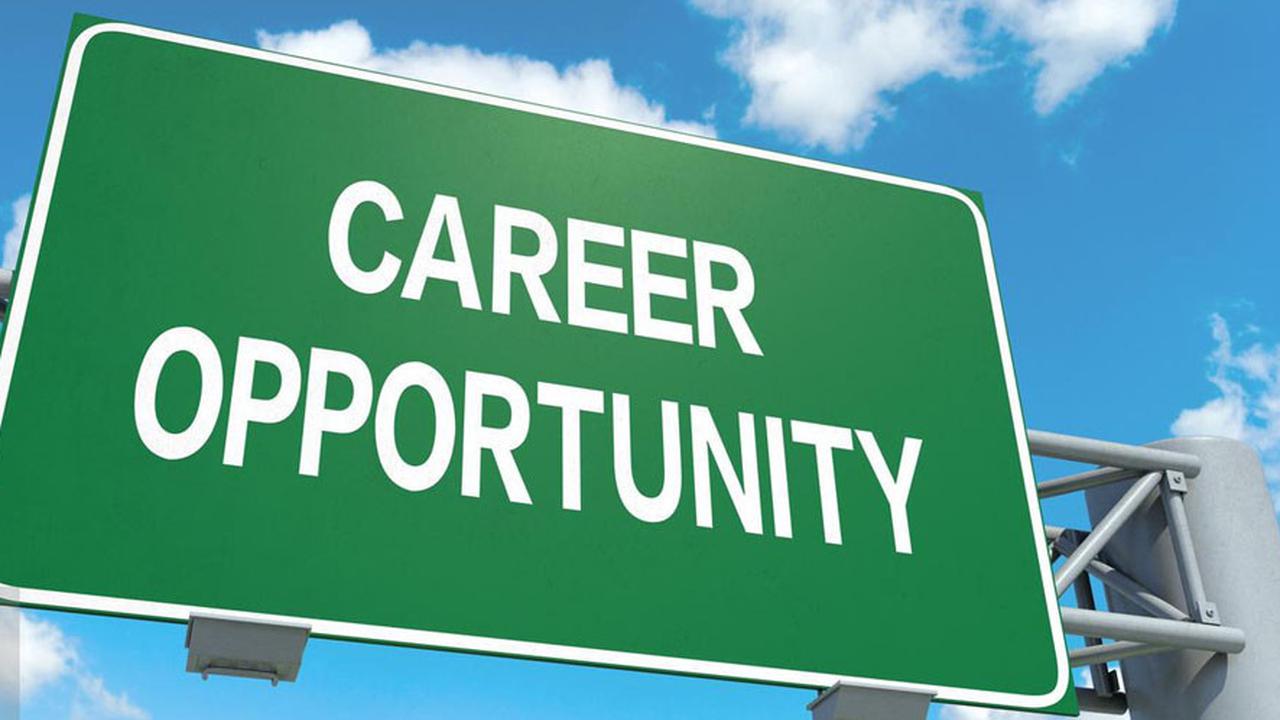 Ilustrasi Foto Lowongan Kerja (iStockphoto)