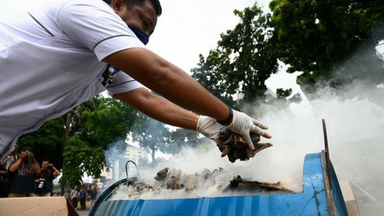 Pemusnahan barang bukti organ satwa dilindungi di Mabes Polri