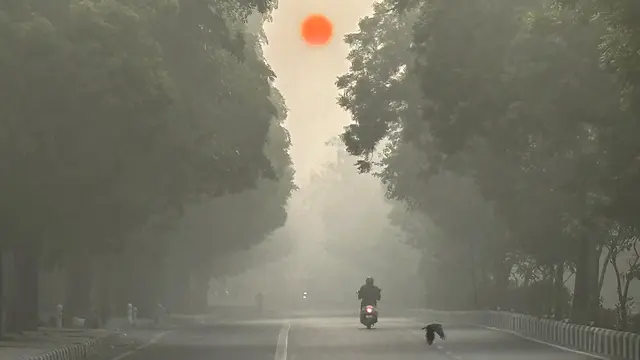 Kabut tebal mengganggu lalu lintas jalan raya dan kereta api di Delhi