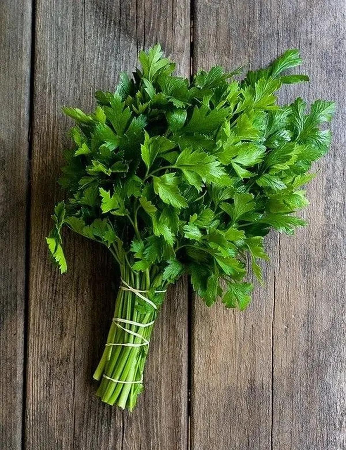 Manfaat Daun Seledri, Simak Resep Praktis untuk Kolesterol dan Darah Tinggi