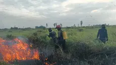 115 Titik Panas Terdeteksi di Lampung