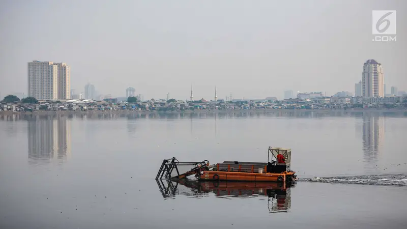 Cegah Pendangkalan, Alat Berat Keruk Sampah Waduk Pluit