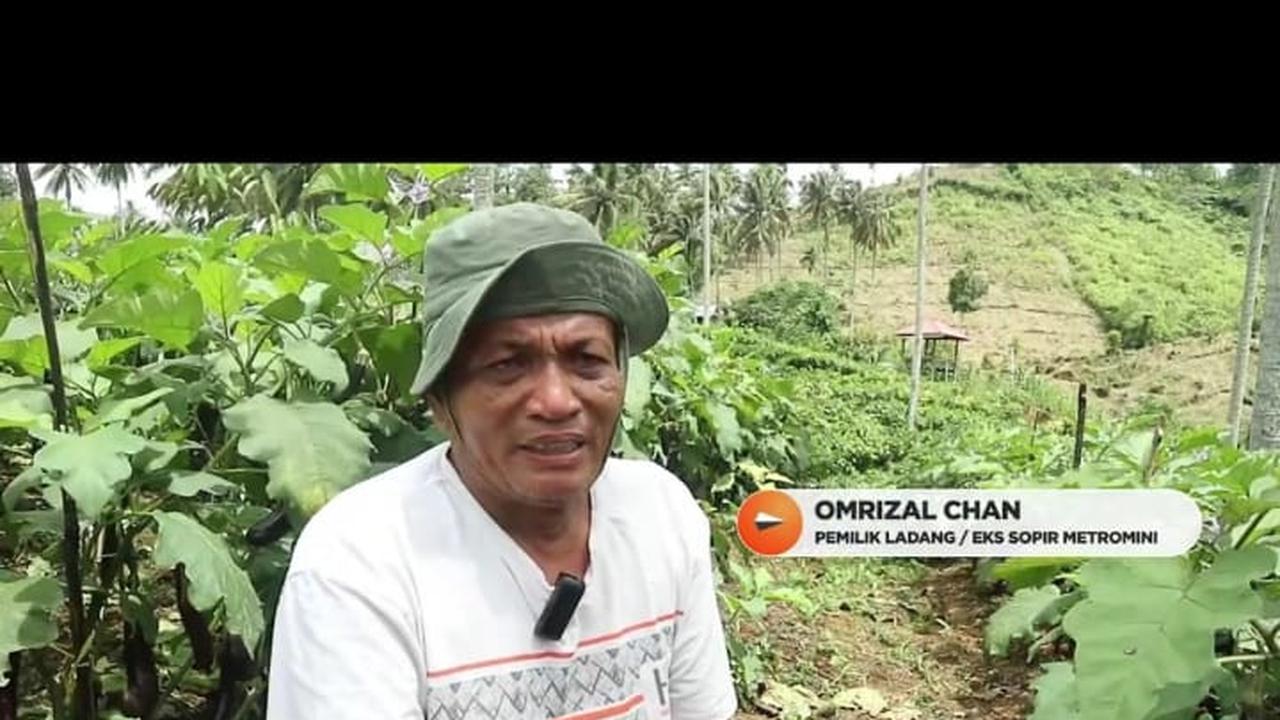 Cerita ini datang dari Omrizal Chan atau yang bisa dipanggil Rizal, dulunya merupakan seorang sopir metromini.