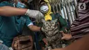 Dokter hewan dari Dinas Ketahanan Pangan dan Pertanian menyuntikkan vaksin rabies pada seekor kucing di Jakarta, Rabu (27/10/2021). Vaksin rabies untuk hewan peliharaan warga ini merupakan program Pemda untuk menjadikan kota Jakarta menjadi ramah hewan atau tanpa rabies. (Liputan6.com/JohanTallo)