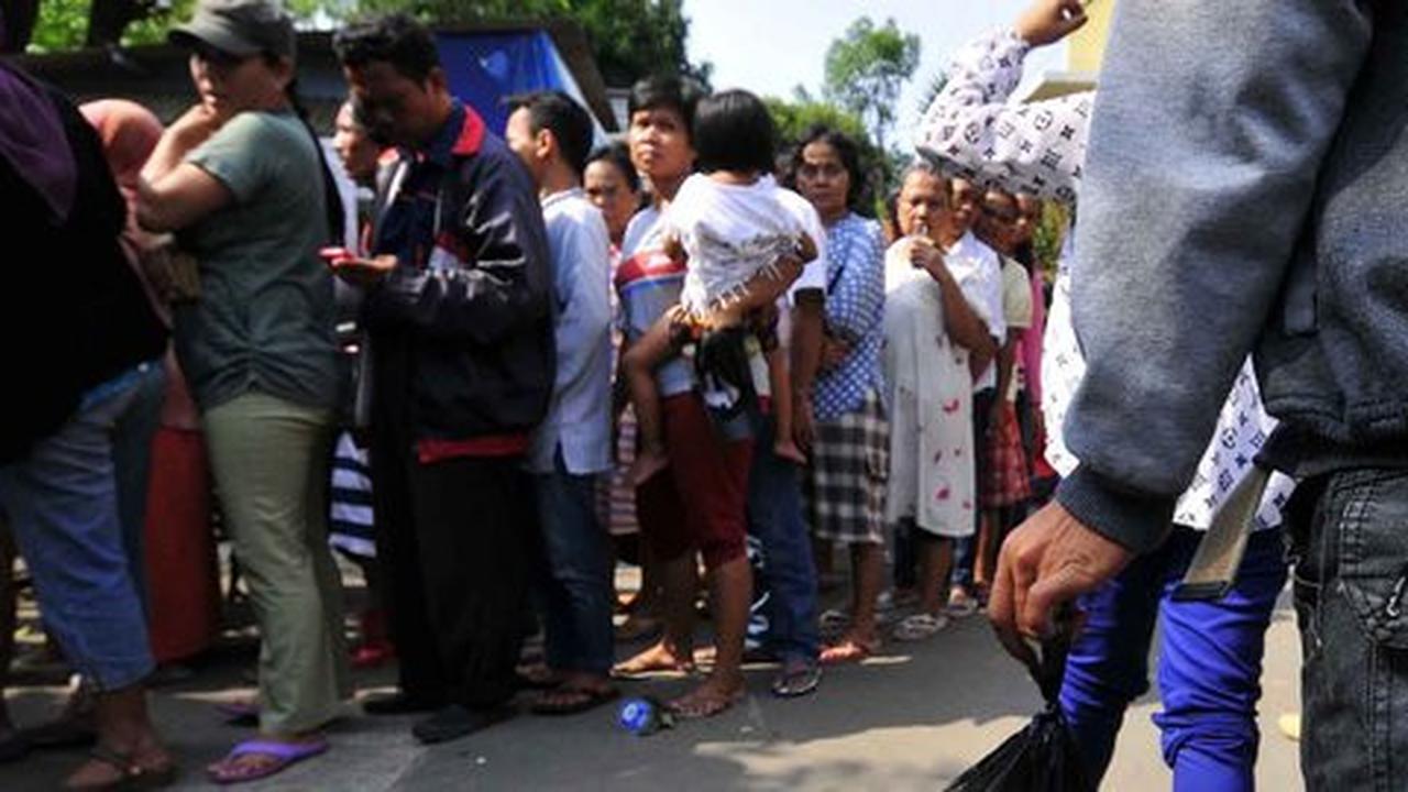 Panitia Istiqlal serahkan pembagian daging kurban ke masjid-masjid