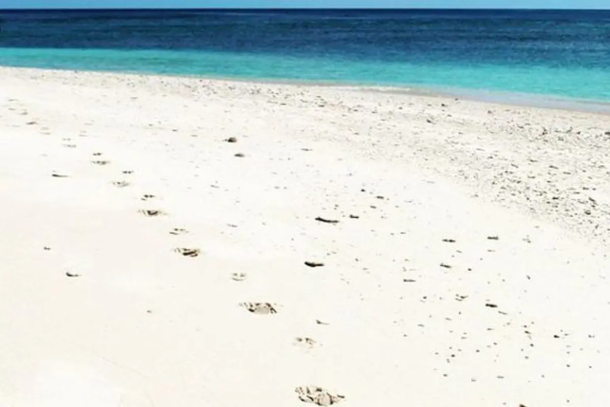 Pulau Senoa, Menapaki Langkah di Wilayah Terluar Indonesia