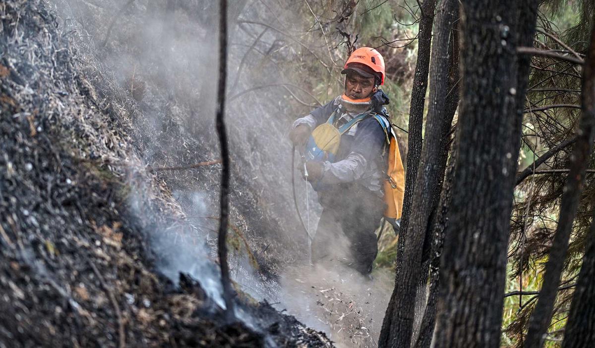 Karhutla Gunung Bromo Meluas Hingga 550 Hektare