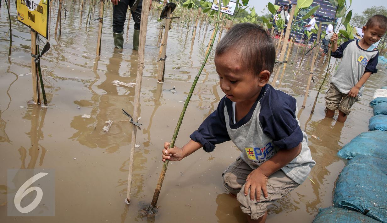 Siswa siswi mengangkat bibit mangrove untuk di tanam di Pesisir Pantai Muara Karang, Jakarta, Kamis (29/10). 5.000 bibit baru ditanam untuk memperkuat ekosistem yang telah dibangun dan memperbesar manfaat terhadap masyarakat. (Liputan6.com/Faizal Fanani)