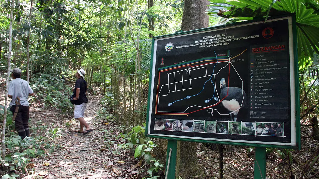 Taman Nasional Bogani Nani Wartabone