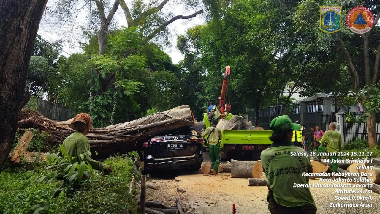 Pohon Tumbang di Kebayoran Baru, Jaksel