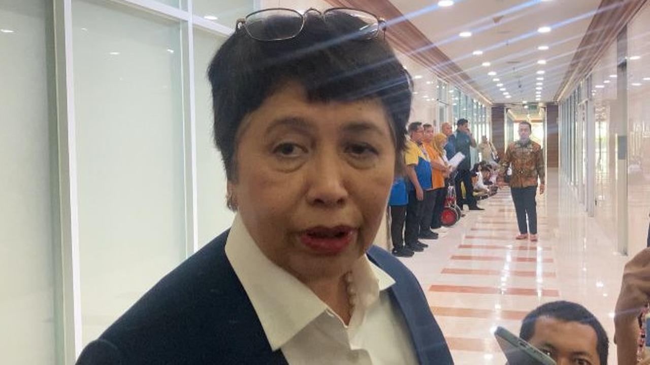 Adik Luhut Mau Jadi Dubes RI untuk Jepang, Paparkan Peningkatan Hubungan Bilateral Kedua Negara