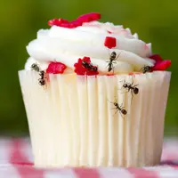 Ilustrasi kue/copyright shutterstock