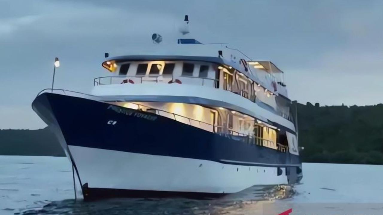 PBD Bentuk Tim Investigasi Kandasnya KM Prestige Voyager di Raja Ampat, Lindungi Terumbu Karang