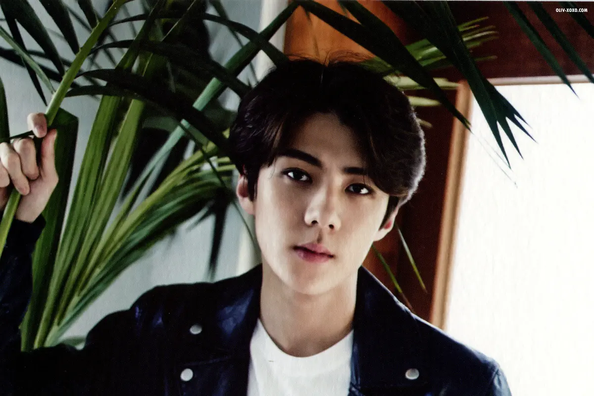 [Bintang] Sehun EXO
