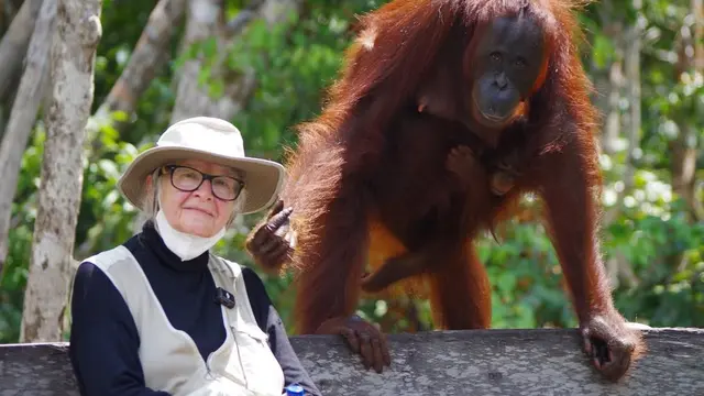 Dr. Birute Mary Galdikas Meninggal Dunia, Selamat Jalan Ibu Orang Utan Kalimantan