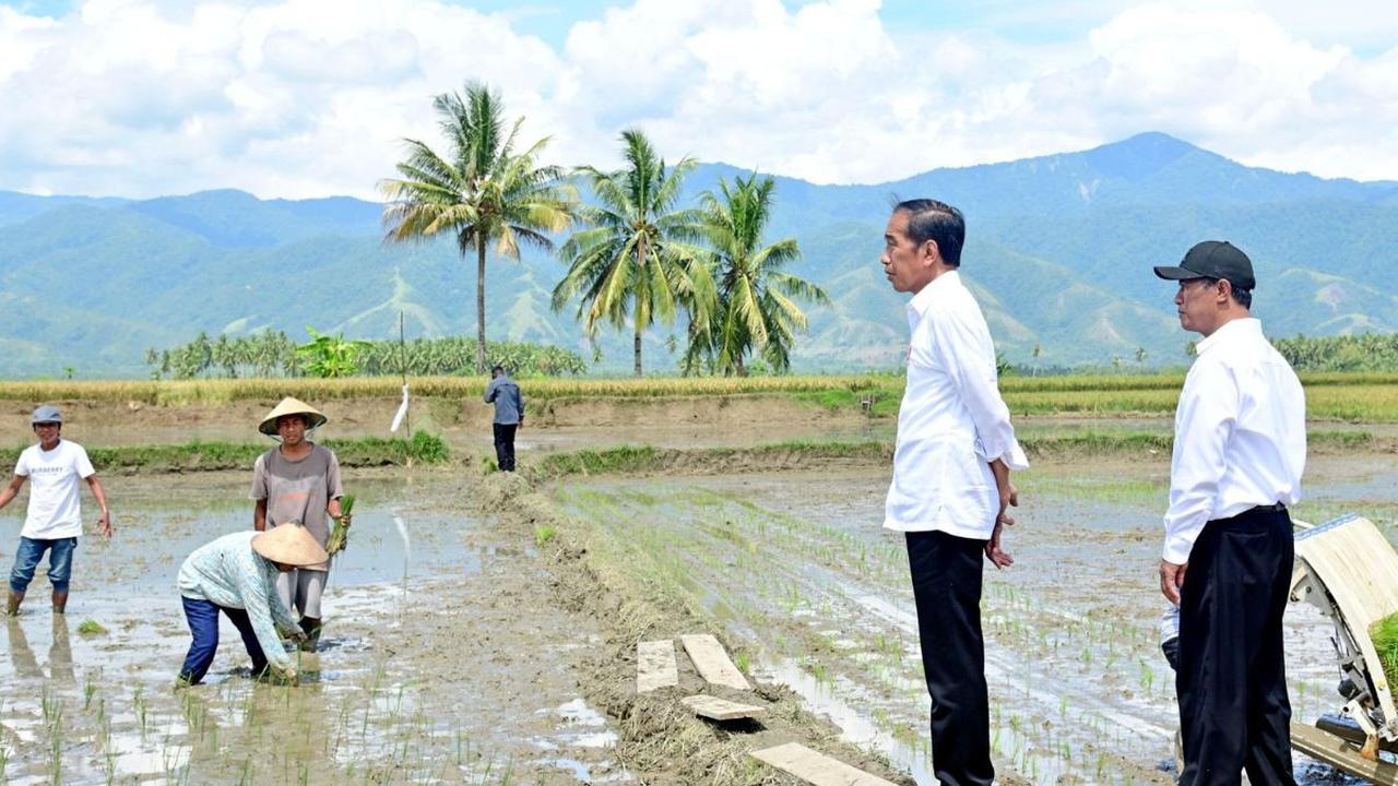 Kunjungan ini mencerminkan komitmen Presiden Jokowi dalam mengawal ketahanan pangan nasional dan keberpihakan pemerintah terhadap pertanian nasional.