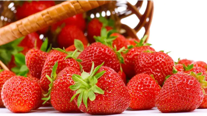 Courtesy ShutterStock.com