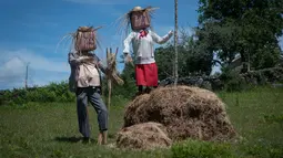 Dua orang-orangan sawah ditampilkan dalam kontes orang-orangan sawah di desa A Lama, Spanyol, 9 Juni 2017. Dalam acara tahunan itu, kreasi para penduduk dipajangkan di tempat-tempat strategis, seperti kebun atau persimpangan jalan. (MIGUEL RIOPA/AFP)