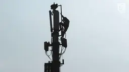 Teknisi melakukan pengecekan audit data jaringan 3G dan 4G pada tiang monopol di Jalan Diponegoro, Jakarta, Sabtu (24/8/2019). Selama ini, fasilitas internet yang disediakan pemerintah masih didominasi sinyal 3G. (merdeka.com/Imam Buhori)