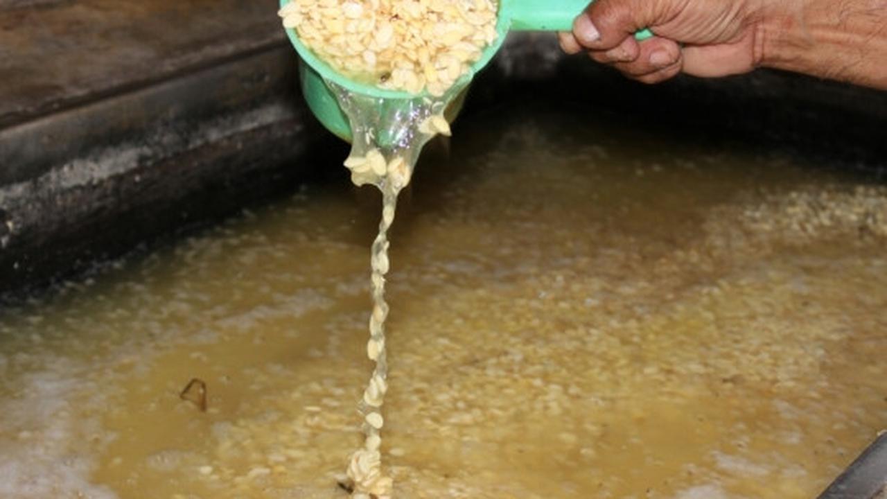 Imbas dolar naik, ukuran tempe di Malang menipis