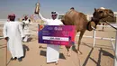 Fayez Ahmed Al Kuwari berpose dengan trofi dan hadiah uang setelah memenangkan Kontes Kecantikan Unta di Qatar Camel Mzayen Club, Ash-Shahaniyah, Qatar, 2 Desember 2022. Penyelenggara dalam beberapa tahun terakhir telah menindak peningkatan kosmetik, sebuah malpraktik yang berkembang pesat di tengah persaingan yang ketat meski ada hukuman berat. (AP Photo/Alessandra Tarantino)