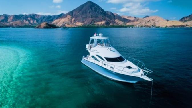 Pemilik Travel Labuan Bajo Top Ditahan, Wisatawan Asing Nyaris Terlantar di Komodo