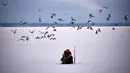 Seorang pria dikelilingi kawanan burung camar ketika memancing di tengah laut Bothnia yang membeku di Vaasa, Finlandia, Rabu (27/12). Selain suhu ekstrem, pemancing dapat melakukan aksinya di tengah laut dengan berjalan kaki. (OLIVIER MORIN / AFP)