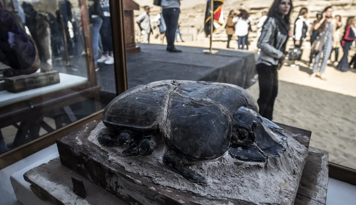 Patung scarab ditampilkan setelah serangkaian penemuan oleh tim arkeologi Mesir di Saqqara, selatan Kairo, Sabtu (23/11/2019). Mumi hewan seperti anak singa, kucing, kobra, buaya, hingga kumbang ditemukan oleh arkeolog, termasuk 75 patung kayu dan perunggu dari masa silam. (Khaled DESOUKI/AFP)