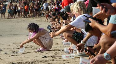 Turis berbaris saat melepaskan bayi penyu ke laut di Pantai Kuta, Bali, Indonesia, 17 Agustus 2022. Sekitar 400 penyu Lekang yang baru menetas dilepaskan saat kampanye untuk menyelamatkan penyu yang terancam punah. (AP Photo/Firdia Lisnawati)