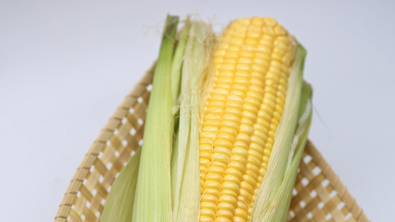 2. Jagung<br>