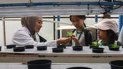 Masyarakat umum, termasuk pelajar, bisa datang untuk mempelajari teknologi pertanian perkotaan (urban farming) yang efisien lahan. Tampak dalam foto, pelajar dari salah satu sekolah dasar menyimak penjelasan terkait pola dan sistem pertanian hidroponik di Ladang Farm, Lebak Bulus, Jakarta, Kamis (30/4/2026). (merdeka.com/Arie Basuki)
