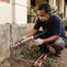 9 Cara Atasi Rayap di Rumah, Cegah Kerusakan Makin Parah