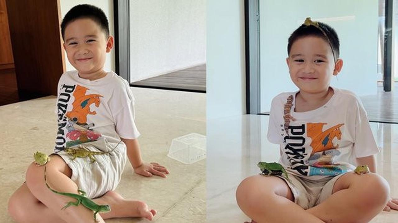 Ada Katak sampai Iguana, Ini Kumpulan Hewan Peliharaan Athar Anak Citra Kirana dan Rezky Aditya
