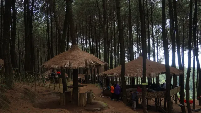 Salam Pagi