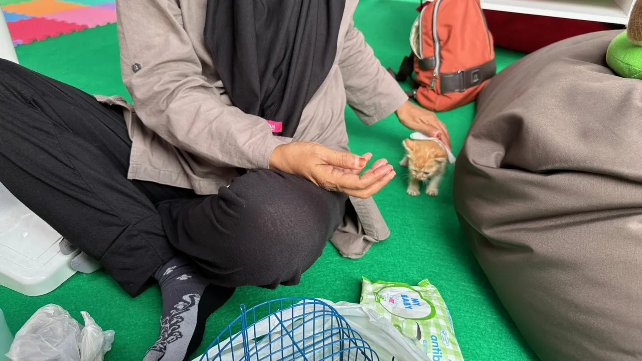 Pemudik Motor Bawa Kucing Lintasi Jalur Pantura