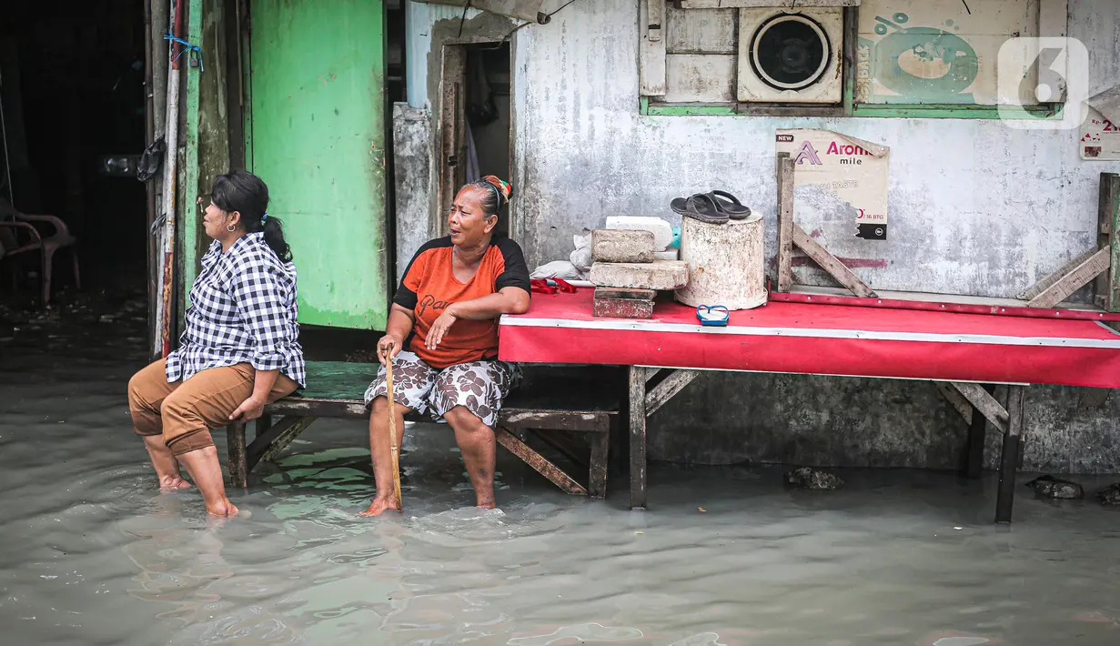 Aktivitas warga saat banjir rob di Muara Angke, Jakarta, Jumat (25/11/2022). Badan Penanggulangan Bencana Daerah (BPBD) DKI Jakarta mengimbau agar warga di pesisir Jakarta mengantisipasi banjir pesisir atau rob selama 22-28 November 2022. (Liputan6.com/Faizal Fanani)
