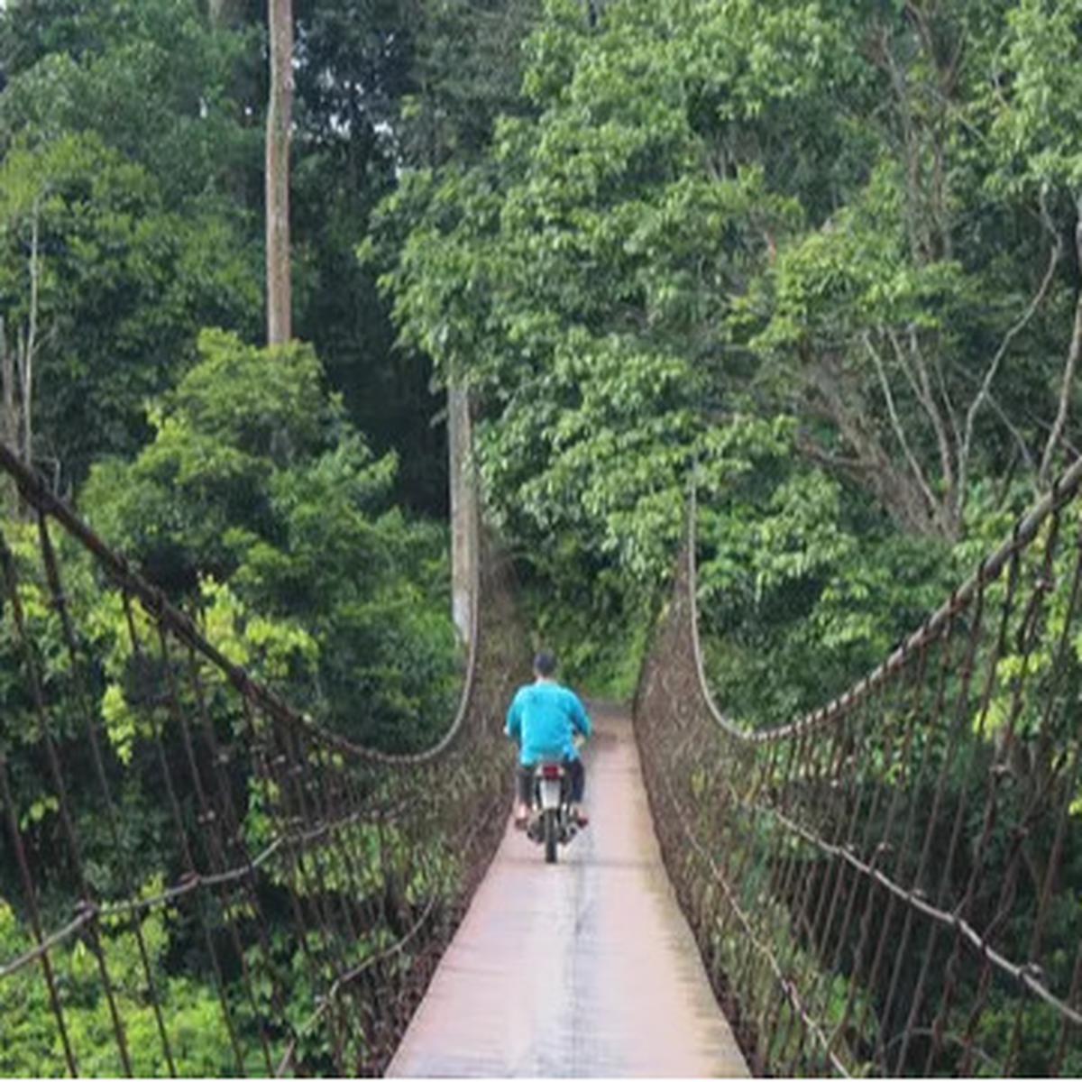 Menhut Bentuk Tim Percepatan Penetapan Hutan Adat, Diisi Akademisi hingga LSM