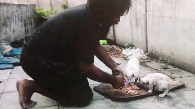 Bikin Haru, Demi Beri Makan Kucing Tunawisma Ini Rela Berjualan Jeruk
